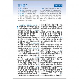 (Special단본) 성경전서 NKR73ESB 개역개정 /대/단본/색인/지퍼/검정 (10173)