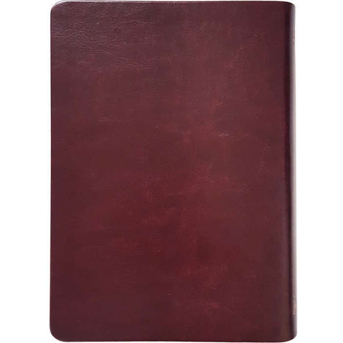 [기획성경] (Special단본) 성경전서 NKR73ESB/대/단본/색인/무지퍼/초코 (10175)