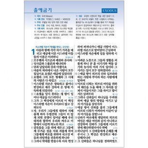 고급판 큰글자 성경전서 NKR73SB 개역 개정판 새찬송가 중 / 합본 / 색인 / 지퍼 / 천연가죽 / 초코(17503)