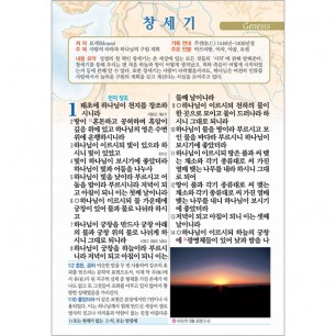 빅컬러성경 개역개정 새찬송가 대/색인/지퍼/자주(10122)