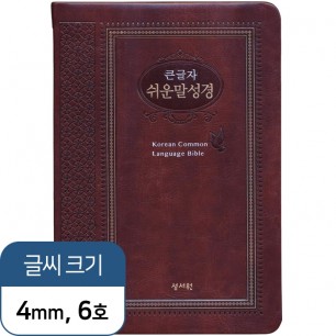 큰글자 쉬운말성경 특중(브라운)+필사노트+볼펜(검정)1세트