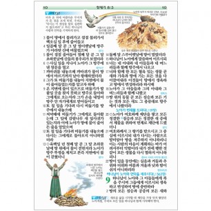 천연 가죽 고급판 좋은성경 개역개정 새찬송가 / 특중 / 합본/ 색인/ 지퍼/ 초코(17375)