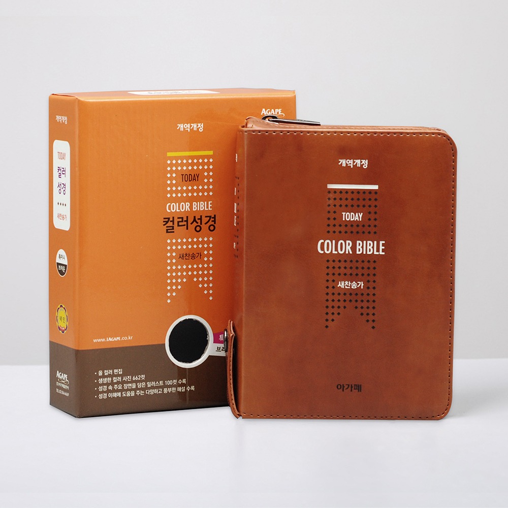 개역개정 투데이컬러성경 특미니 합본 브라운