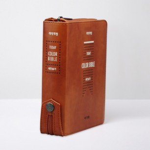 개역개정 투데이컬러성경 특미니 합본 브라운