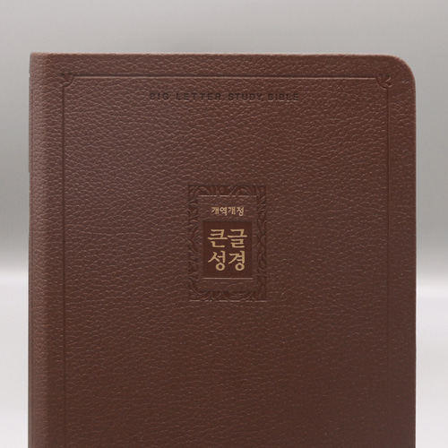 개역개정 우피 큰글성경 특대 단본 리치브라운