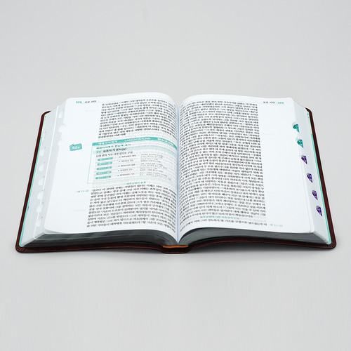 개역개정 90일통큰통독 성경 대단본 네이비